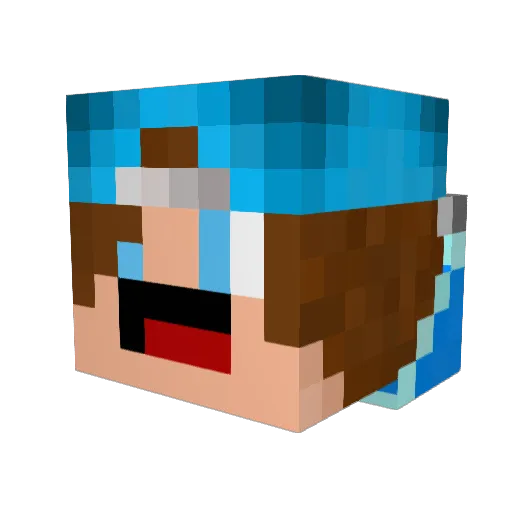 selvin1207 Minecraft avatar head, 3D render