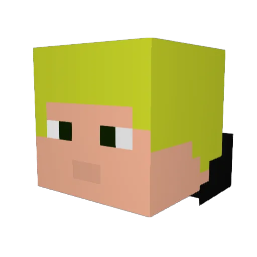 selzlein Minecraft avatar head, 3D render