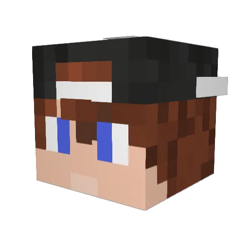 semi076 Minecraft avatar head, 3D render