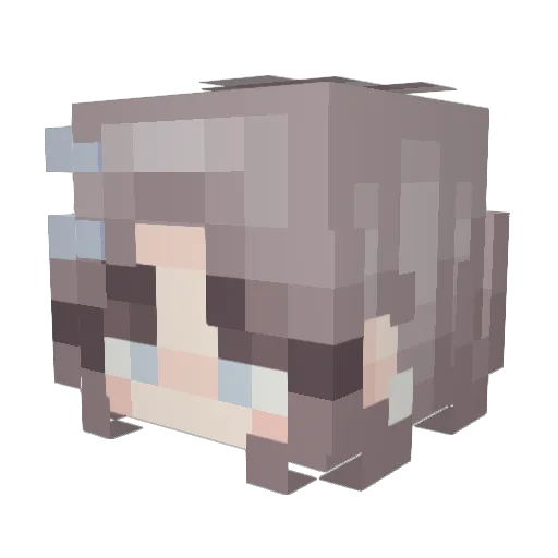semiorka Minecraft avatar head, 3D render