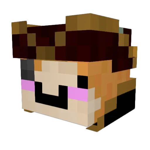 semmertje Minecraft avatar head, 3D render