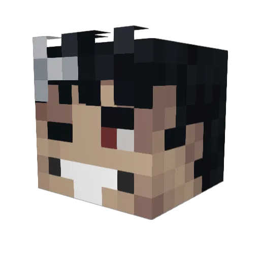 sempaipopi69 Minecraft avatar head, 3D render