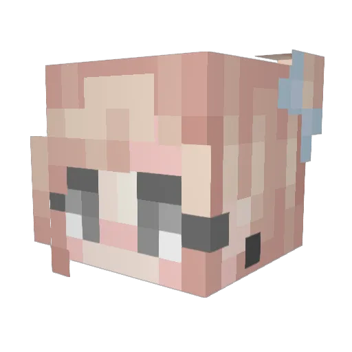 senair Minecraft avatar head, 3D render