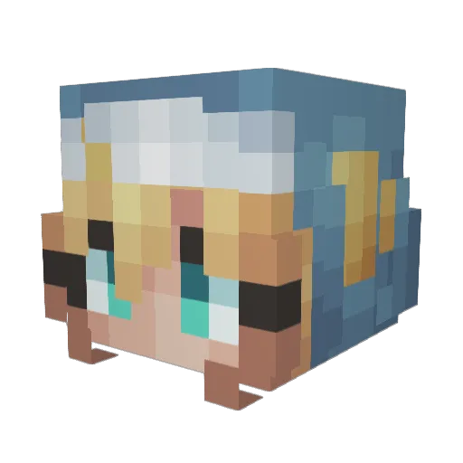 senamc Minecraft avatar head, 3D render