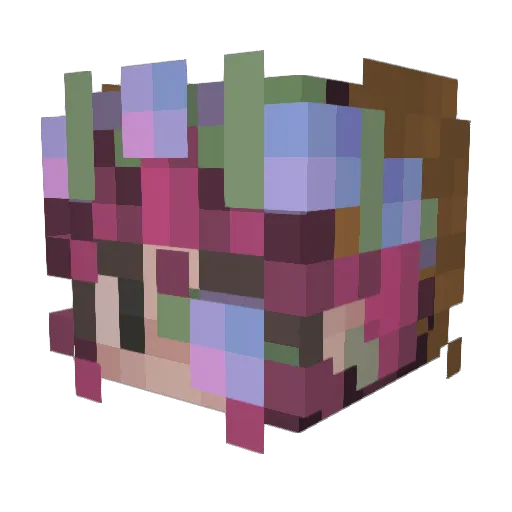 senare_ Minecraft avatar head, 3D render