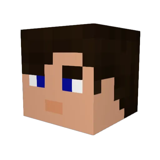 senator82 Minecraft avatar head, 3D render