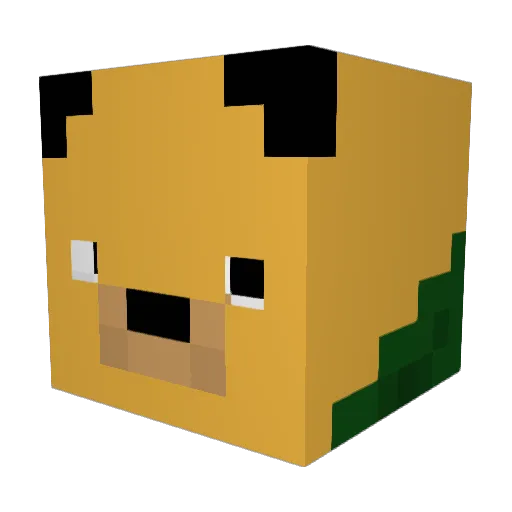 sendcha Minecraft avatar head, 3D render