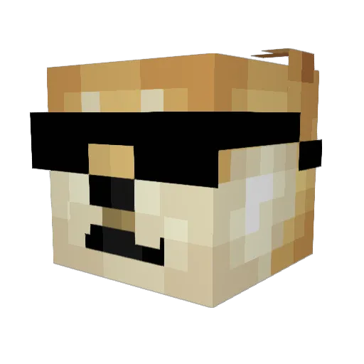 sendleXDD Minecraft avatar head, 3D render