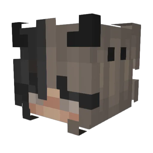 senelegew07 Minecraft avatar head, 3D render