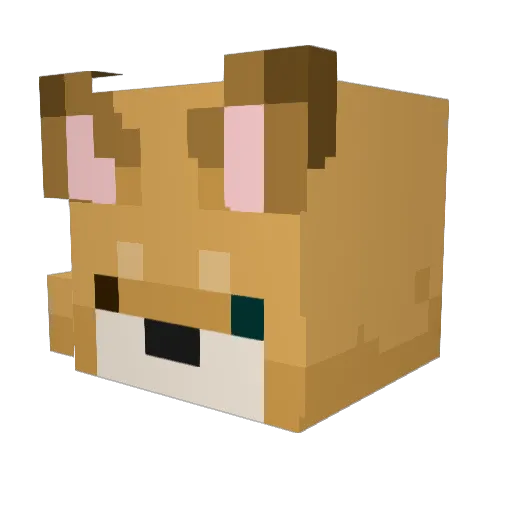 seng1105 Minecraft avatar head, 3D render