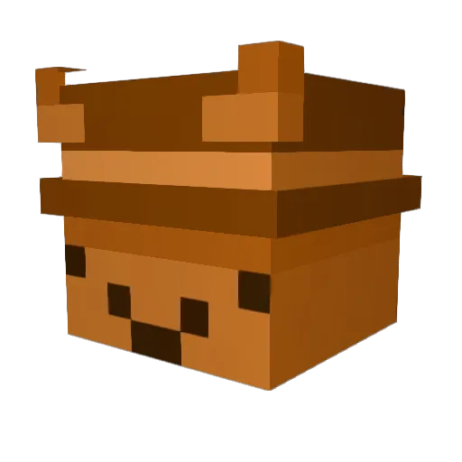 senhorfisher Minecraft avatar head, 3D render