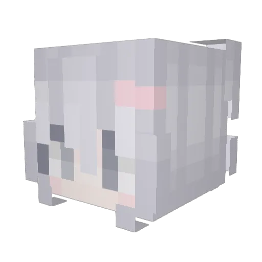 seni5854 Minecraft avatar head, 3D render
