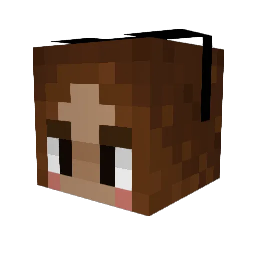 seniator Minecraft avatar head, 3D render
