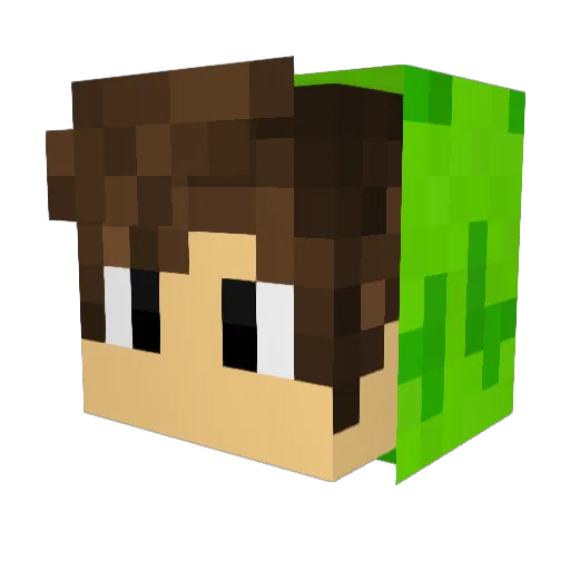 senkas Minecraft avatar head, 3D render