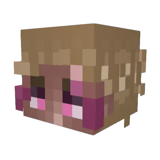 senkiy Minecraft avatar head, 3D render