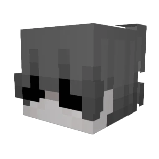 senn0sc Minecraft avatar head, 3D render