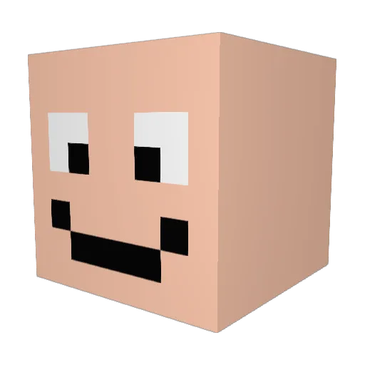 senne1704 Minecraft avatar head, 3D render