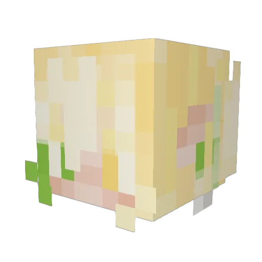 sennexus Minecraft avatar head, 3D render