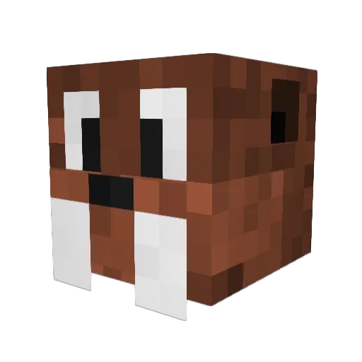 senor_soup Minecraft avatar head, 3D render