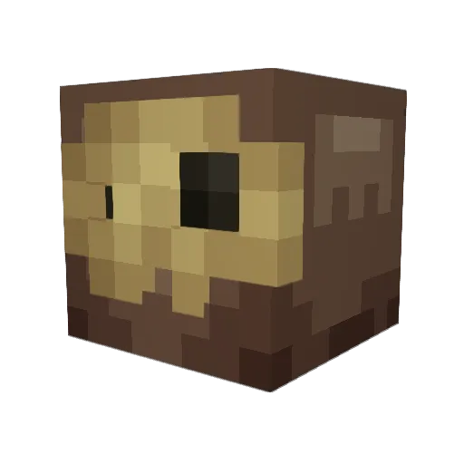 senothy Minecraft avatar head, 3D render