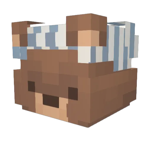 senourfrog Minecraft avatar head, 3D render