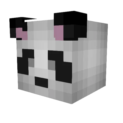 senpai_abdi Minecraft avatar head, 3D render