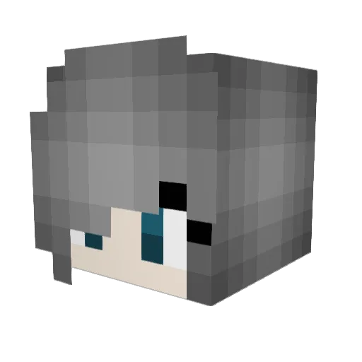 senpaiagnes Minecraft avatar head, 3D render