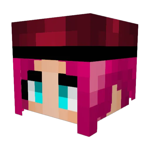 senro1001 Minecraft avatar head, 3D render