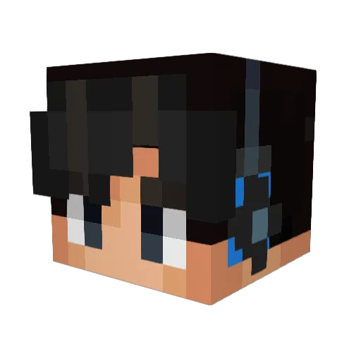 sens_1 Minecraft avatar head, 3D render