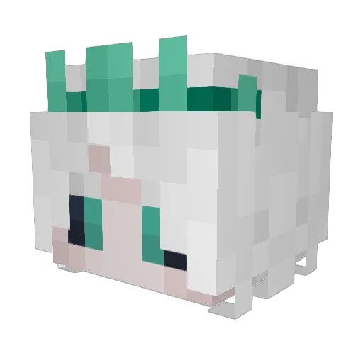 sensei_of_doom Minecraft avatar head, 3D render