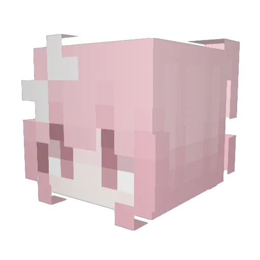sensitive546432 Minecraft avatar head, 3D render
