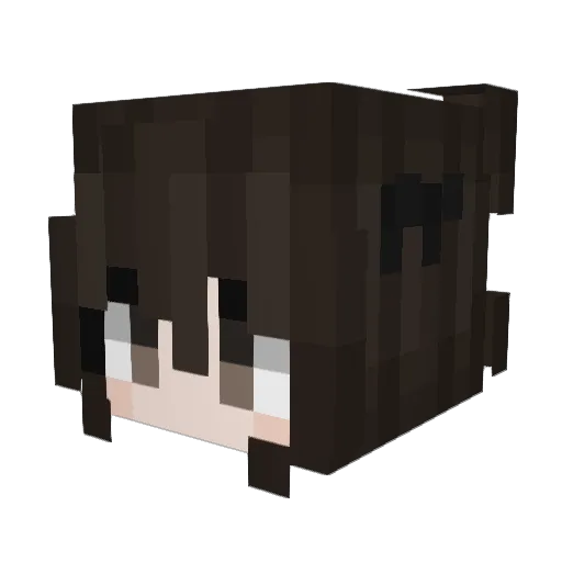 sensitiverobot Minecraft avatar head, 3D render