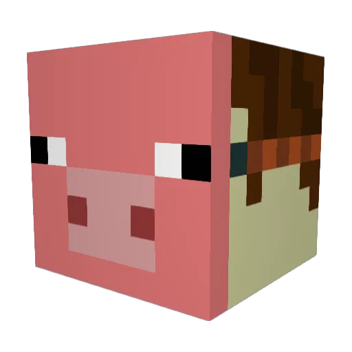 sentientbeing23 Minecraft avatar head, 3D render