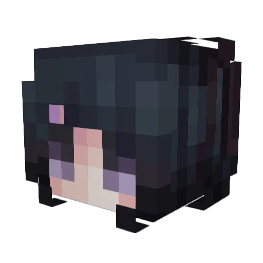 senxet Minecraft avatar head, 3D render