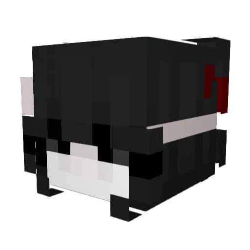 senzasoldi Minecraft avatar head, 3D render