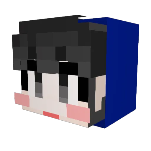 seoin09 Minecraft avatar head, 3D render