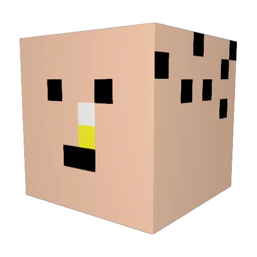 seokjeong Minecraft avatar head, 3D render