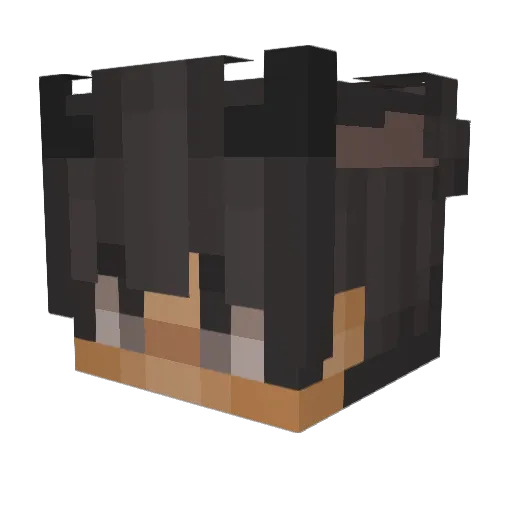 seongminsignal Minecraft avatar head, 3D render