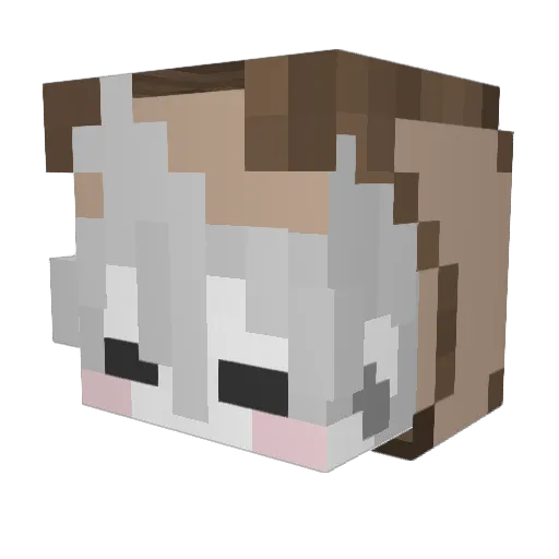 seoyeonJ12 Minecraft avatar head, 3D render
