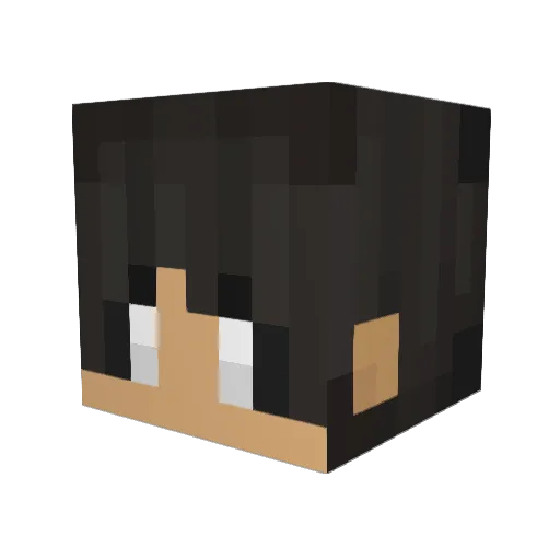 separanum Minecraft avatar head, 3D render