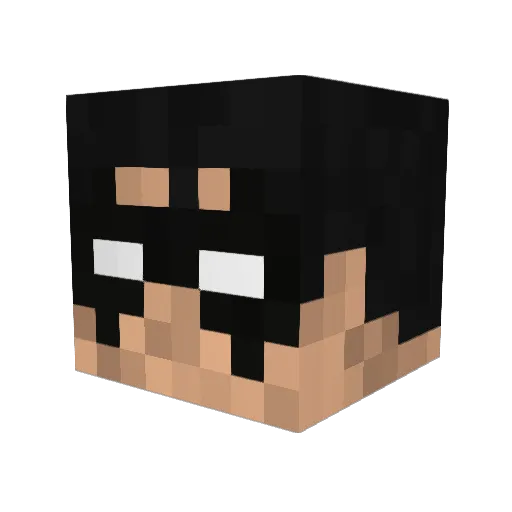 sepehr123 Minecraft avatar head, 3D render