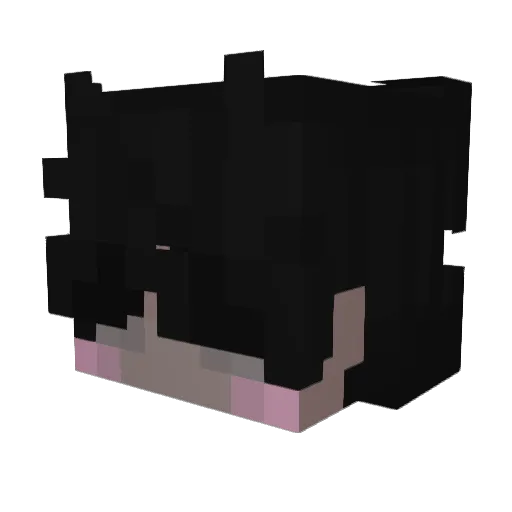 seph225 Minecraft avatar head, 3D render
