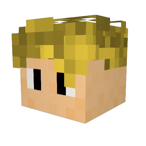 seppemeister Minecraft avatar head, 3D render