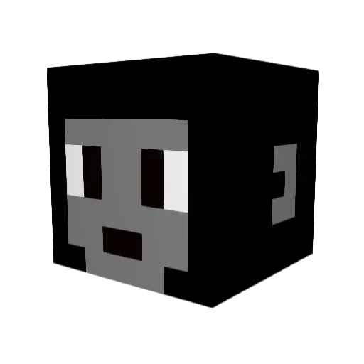 seppie2406 Minecraft avatar head, 3D render