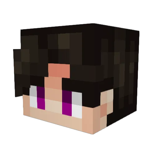 seprk Minecraft avatar head, 3D render