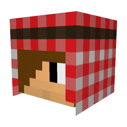 septor_xy Minecraft avatar head, 3D render