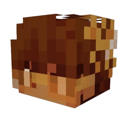 sera9hic Minecraft avatar head, 3D render