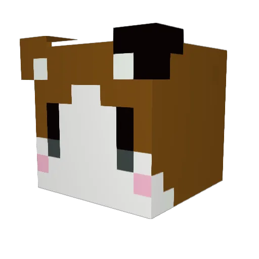 sera_cat Minecraft avatar head, 3D render