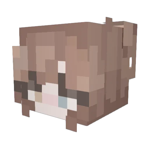 seracide Minecraft avatar head, 3D render