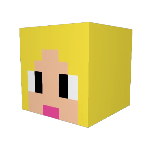 sereezus Minecraft avatar head, 3D render